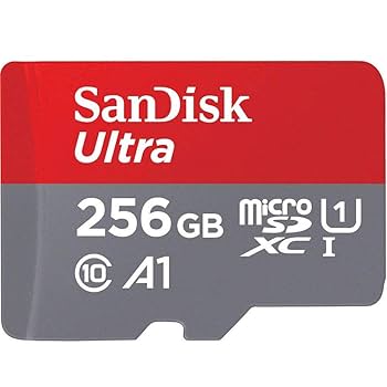 sandisk マイクロsdカード　256GB Amazon | microSDXC 256GB SanDisk サンディスク UHS-1 超高速U1